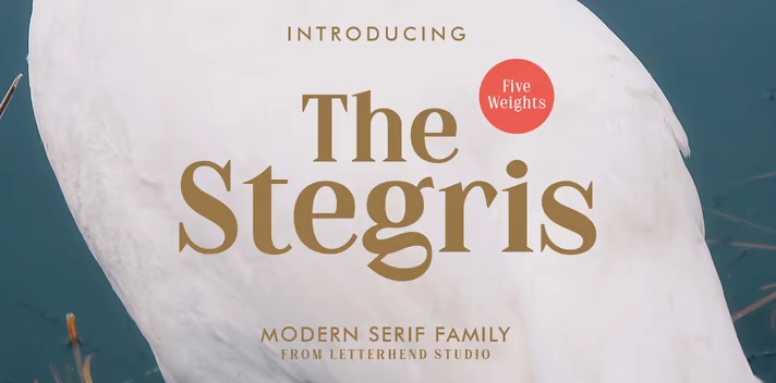 [Myfonts] The Stegris Font (2021)_0.jpg